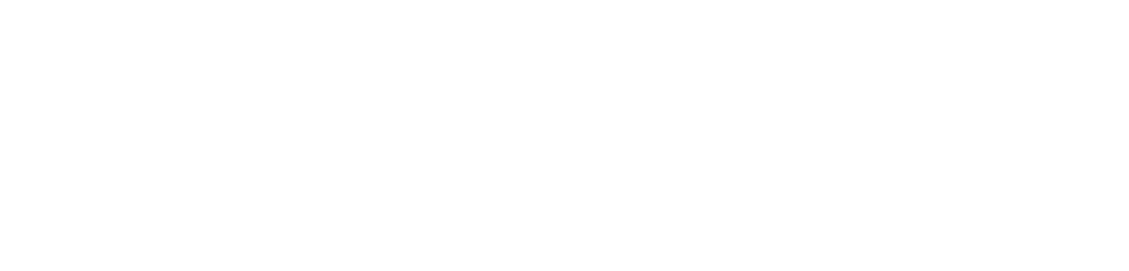 Houdini Logo